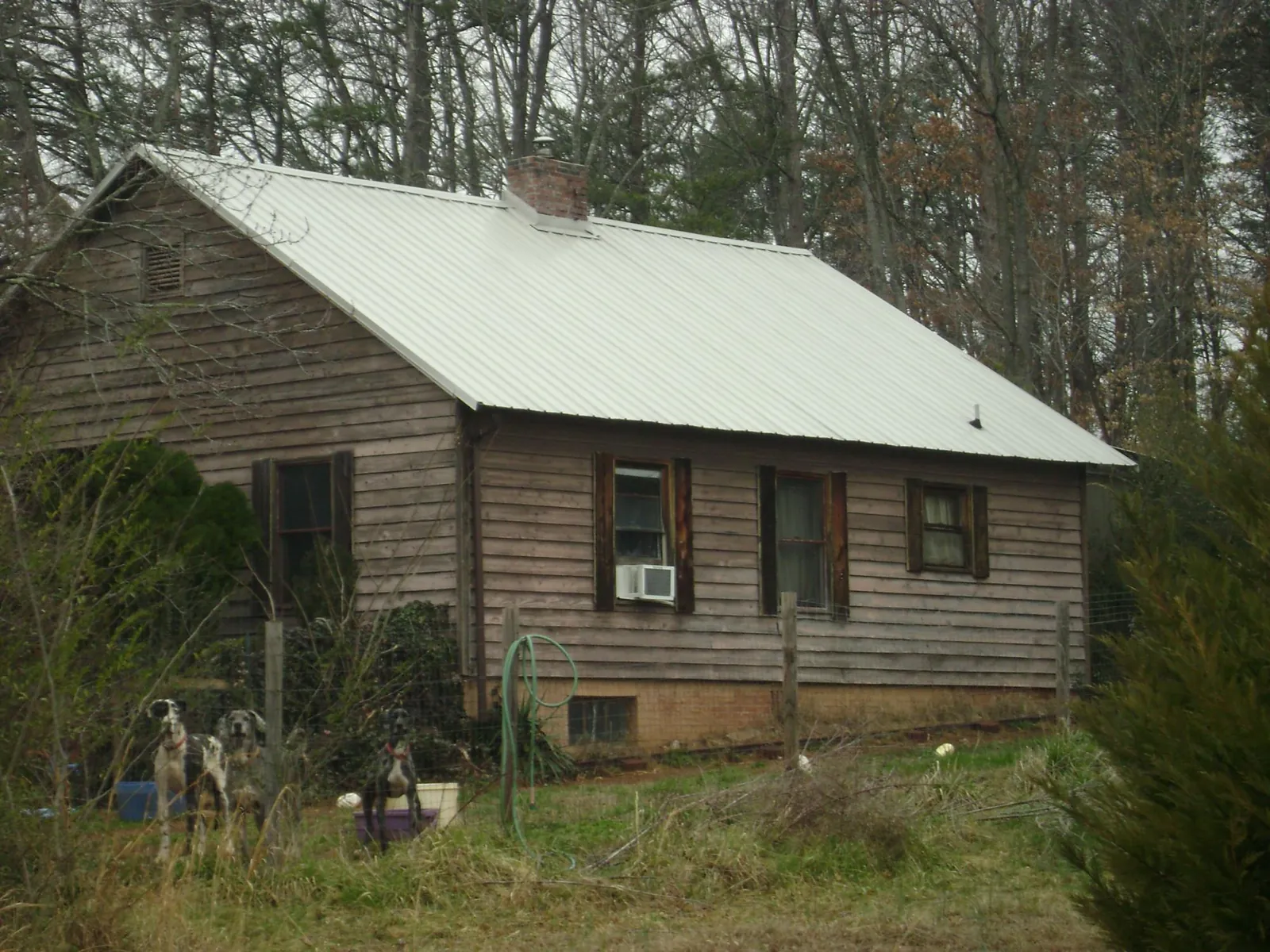 White metal roof on an old wood sided farmhouse, from a Asphalt Shingle Roof Repair job in Woodacre